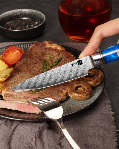 Dnifo Kitchen Utility Knife 5 Inch, Japanese VG10 Steel Damascus Paring knife, Small Kitchen chef Knife with Gift Box and Resin Wood Handle, Ideal Birthday Gift for Men and Women