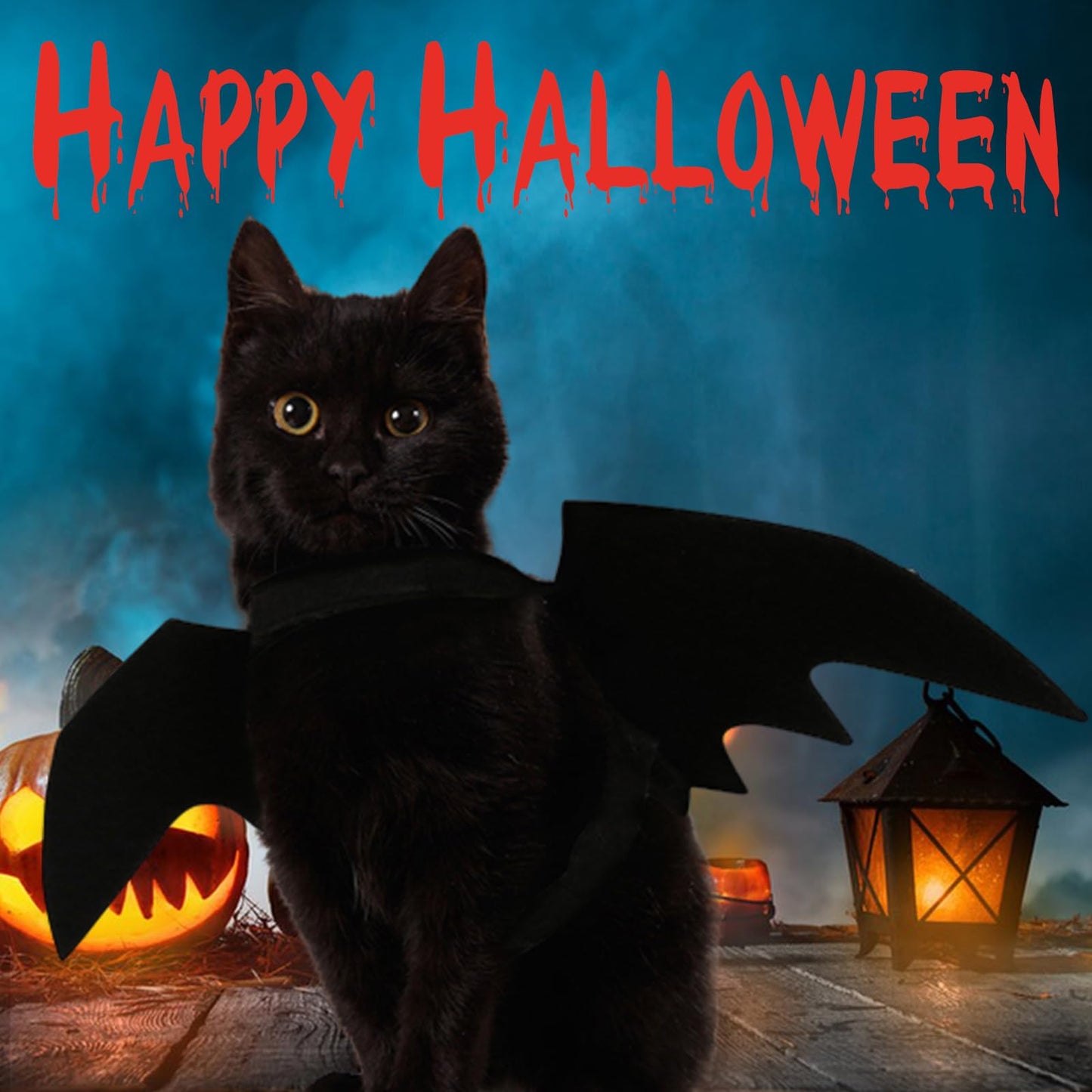 Pet Cat Bat Wings Halloween Dog Bat Costume, Bat Wings for Cat Halloween Costume Puppy Kitten Cosplay Bats Costume Pet Apparel, Cats Wings for Halloween Party Decoration Dress up Accessories