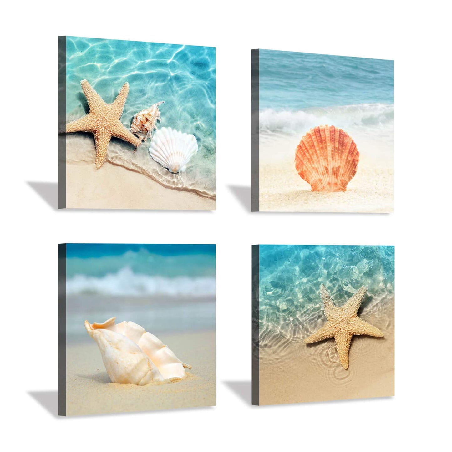 Hardy Gallery Beach Seashell Starfish Wall Art: Blue Ocean Beauties Artwork Print on Wrapped Canvas for Living Room (12''x12''x4pcs)