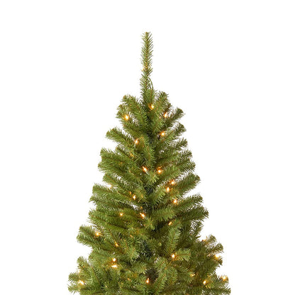 National Tree Company 4 ft Pre-Lit Grande Canadian Fir Mini Artificial Christmas Tree, 100 Clear Lights, 230 Tips, Includes Stand, Green