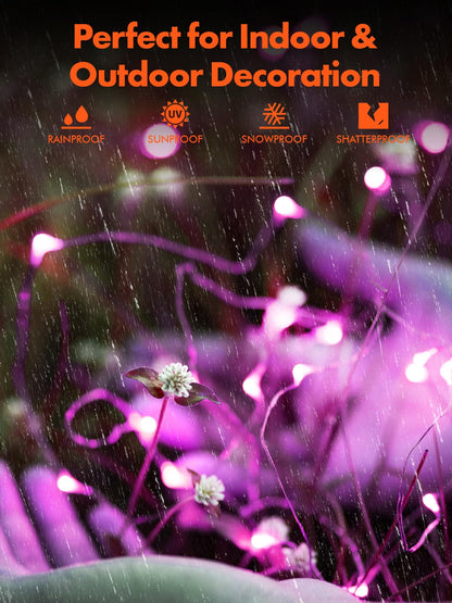 Twinkle Star 2 Pack Outdoor Solar String Lights, Total 80FT 240 LED Solar Powered Halloween Decorative Fairy Lights with 8 Modes, Waterproof Black Wire Light Patio Yard Wedding Party, Purple, 2 Pack