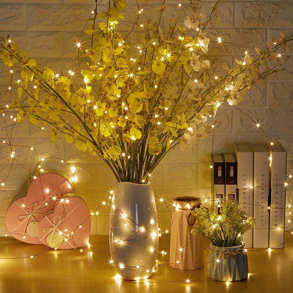 Erchen Plug in Fairy Lights, 165 FT 50M 500 LED Dimmable Copper Wire LED Starry String Lights with 12V DC Power Adapter RF Remote Control for Wedding Christmas Party Bedroom (Warm White)