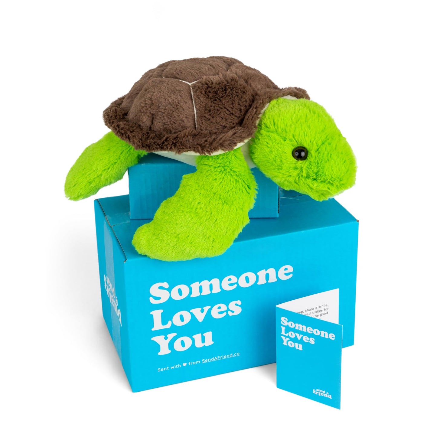 SendAFriend Tucker The Turtle Stuffed Animal Care Package, Someone Loves You Box, Great Gift for Any Reason (Miss You Notecard)
