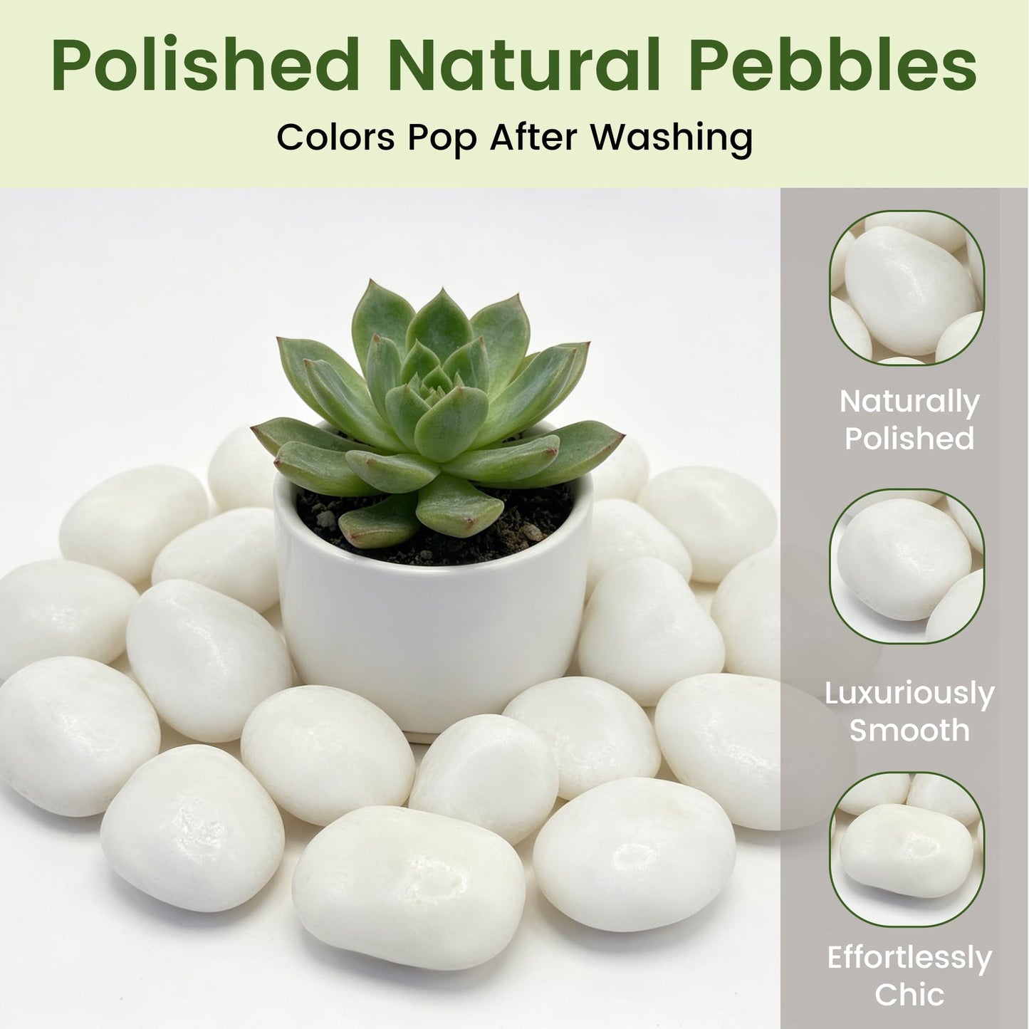 SIDONG 10 lbs White River Rocks, Polished Pebbles for Indoor Plants, 1-2 inch Decorative White Stones for Plants Vase Aquarium Fish Tank and Outdoor Garden Landscaping Rocks