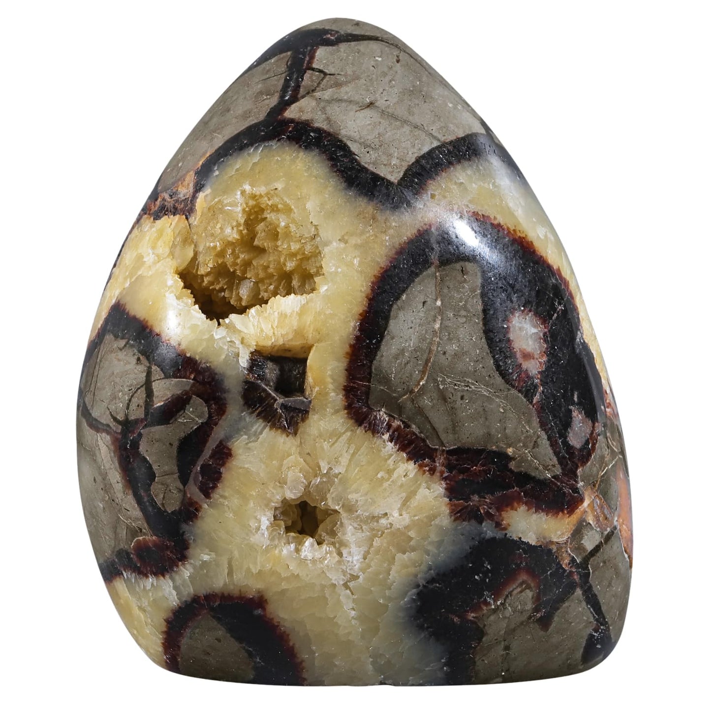 Sportmusies Natural Septarian Dragon Stone Geode Mineral Specimen Decoration for Reiki Home Office Desk, 2.36-3.93 Inches
