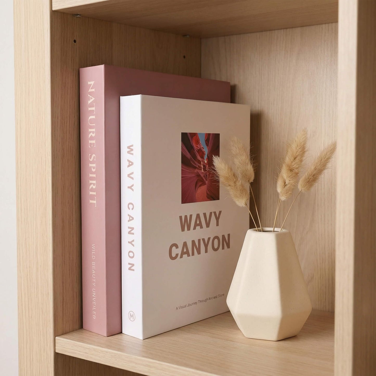MAOBUYOU Elegant Decorative Book Boxes Set of 2 - Hidden Storage for Coffee Table, Bookshelf, Living Room Decor