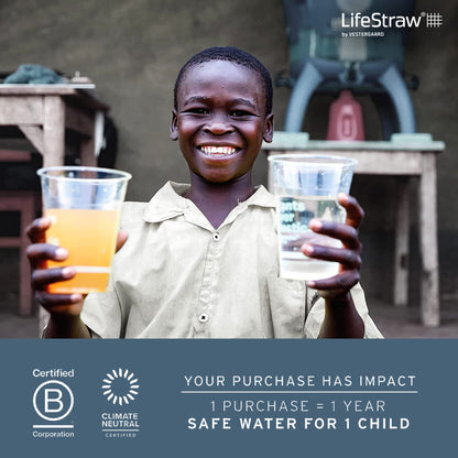 LifeStraw Personal Water Filter for Hiking, Camping, Travel, and Emergency Preparedness, Green, Stocking Stuffers, Christmas Gifts for Men and Women