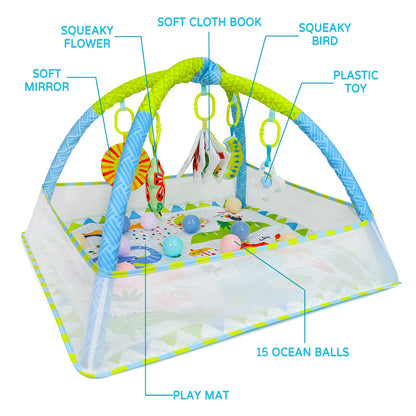 Dr.Rapeti Baby Play Mat, Activity Baby Play Gym with Arch, Playmats & Floor Gyms, Detachable Mirror, Soft Book and Balls Toys, Thick Non Toxic Playmats
