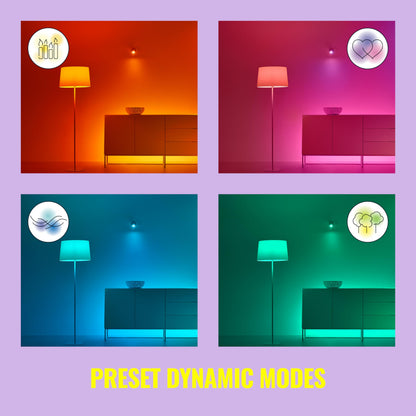 WiZ Connected Remote Light Switch, Works with All WiZ Products, Turn Lights On or Off, Brighten or Dim Room, Control Switch, 1 Pack