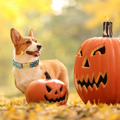 Unique style paws Dog Collar Green Pumpkin Flower Metal Buckle Durable Puppy Collar Halloween for Small Medium Large Boys Girls Dogs