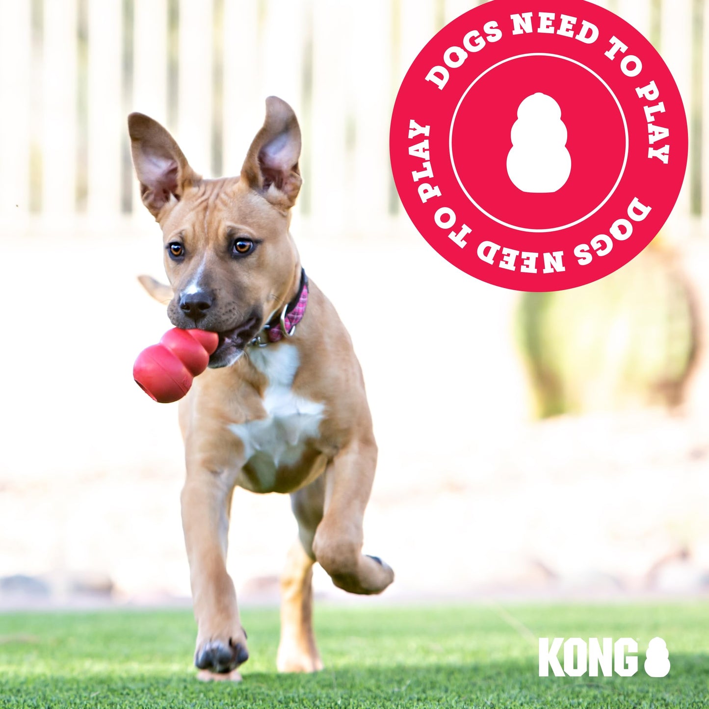 KONG - Aqua - Floating Fetch Toy for Water Play - For Medium Dogs