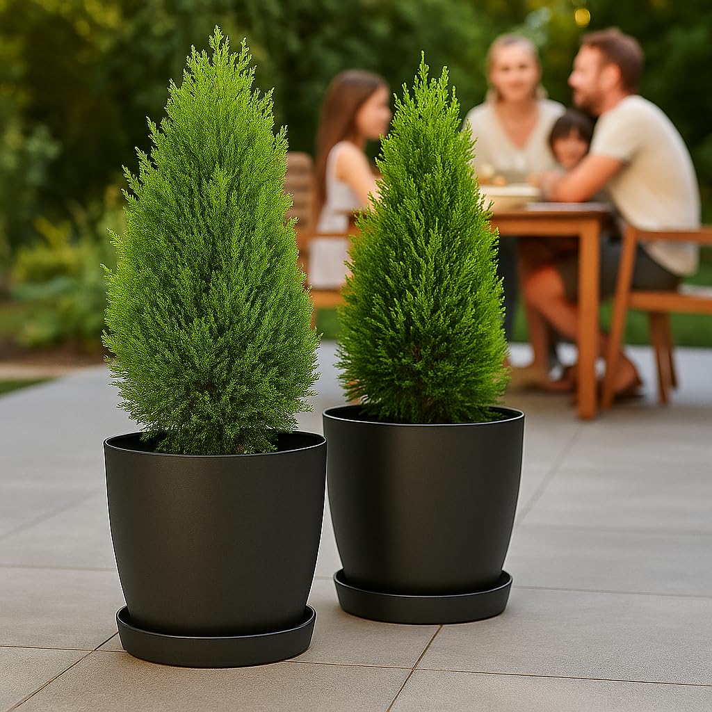 Home Garden Ornaments Plant Pots Indoor, Indoor Plant Pot - Decorative Flower Pots with Mat Surface and Plant Pot Saucer (Diameter: 16cm, Colour: Black)