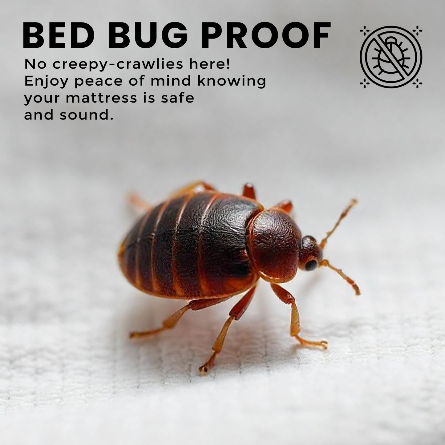 Utopia Bedding Premium Waterproof Bed Bug Mattress Cover, Twin XL Zippered Mattress Protector, 12 Inches Deep, Dust Mite Proof 6-Sided Mattress Encasement for Bed