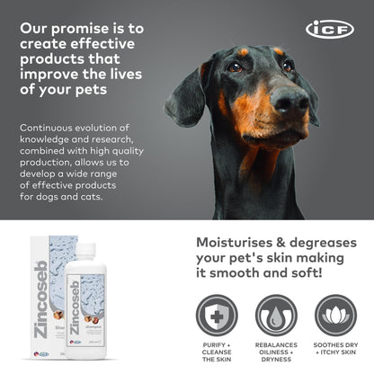 ICF Zincoseb Dog Shampoo for Itchy Skin Relief Anti Itch + Antifungal + Antibacterial for Dogs & Cats Made for Pets with Sensitive Skin 250 ml