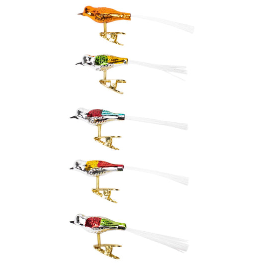 Kurt Adler Early Years Glass Clip-On Bird, 4.5-Inch, Set of 5