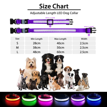 PCEoTllar Light Up Collar - Rechargeable Flashing LED Collar for Small, Medium & Large Dogs - Waterproof, 7 Colors Glowing, Purple (8 Mode)