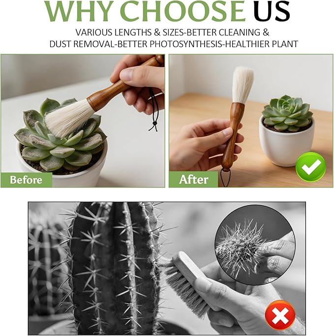 Cactus Plants Cleaning Brushes, Wooden Handles