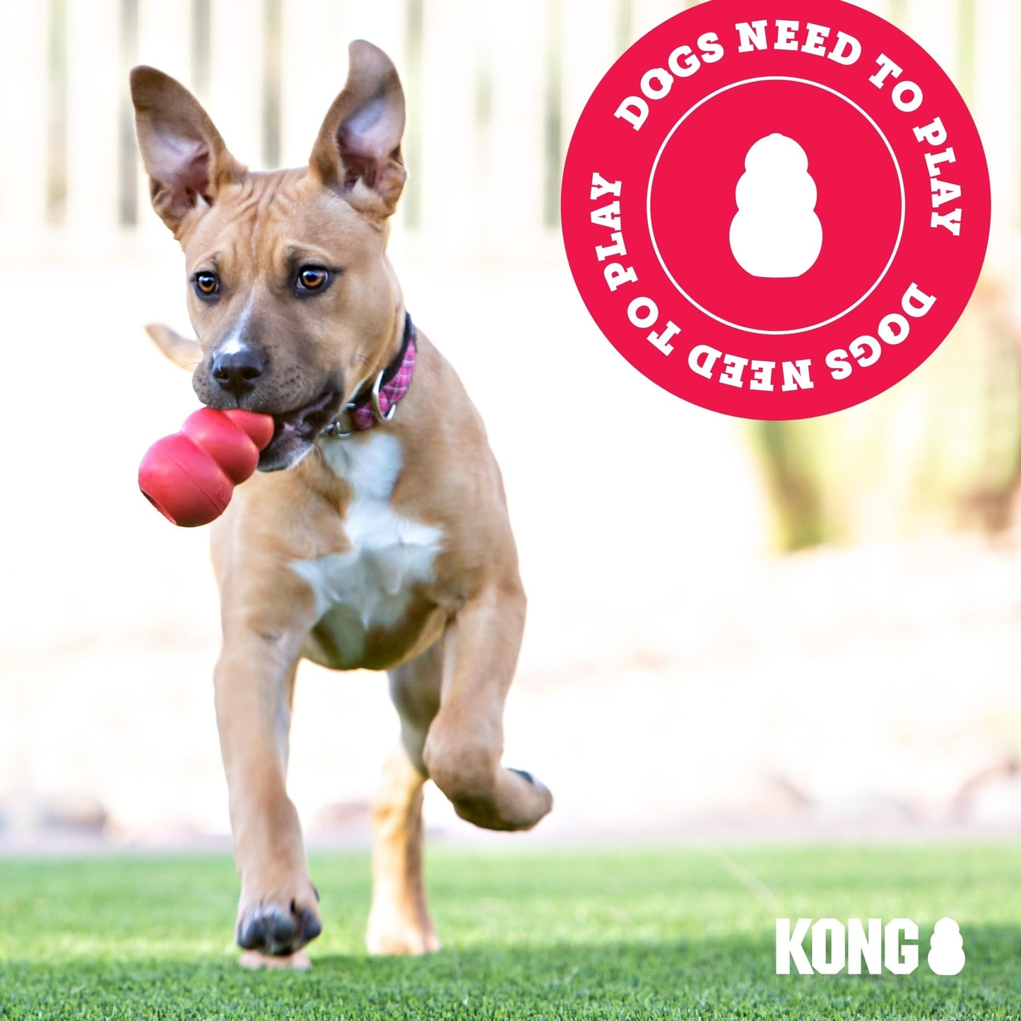 KONG - Scrunch Knots Raccoon - Internal Knotted Ropes and Minimal Stuffing for Less Mess - For Small/Medium Dogs