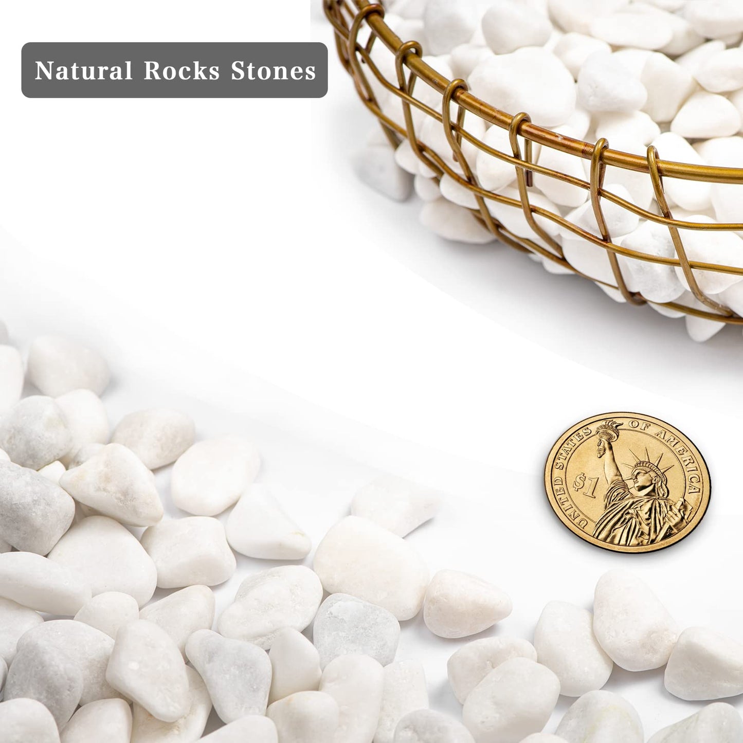 Ausluru 5lbs White Natural River Rocks, Polished Pebbles for Plants Garden, 0.3-0.8 inch Decorative White Stones, Ideal for Fish Tank, Vases, Crafting, Home Decor and Garden Landscaping Rocks,White