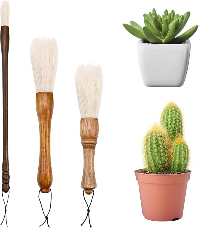 Cactus Plants Cleaning Brushes, Wooden Handles