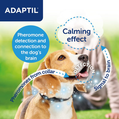 Adaptil Calm-On-The-Go Collar For Dogs Medium / Large, Adaptil Calming Dog Collar Helps Reduce Dog Anxiety With Natural Pheromones, Dog Calm Collar Helps To Reduce Stress And Behavioural Issues