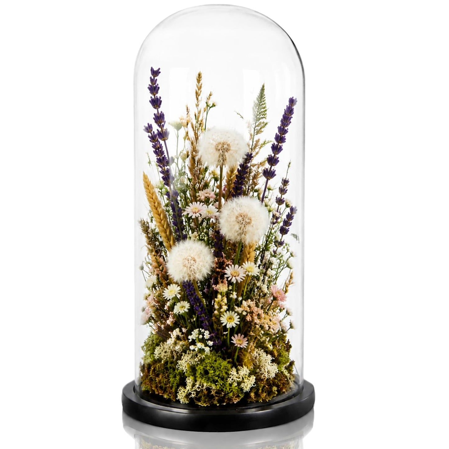 ZOOFOX 13.8 Inch Tall Glass Dome with Base, Clear Glass Empty Display Cloche, Decorative Bell Jar for Succulents, Collectibles, Fairy Lights, Photos, Medals, Heirlooms