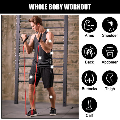 Odoland Pull Up Assist Bands, Pull Up Straps, Resistance Bands with Door Anchor and Handles, Stretch Mobility, Powerlifting and Extra Durable Exercise Bands with eGuide for Men and Lady C