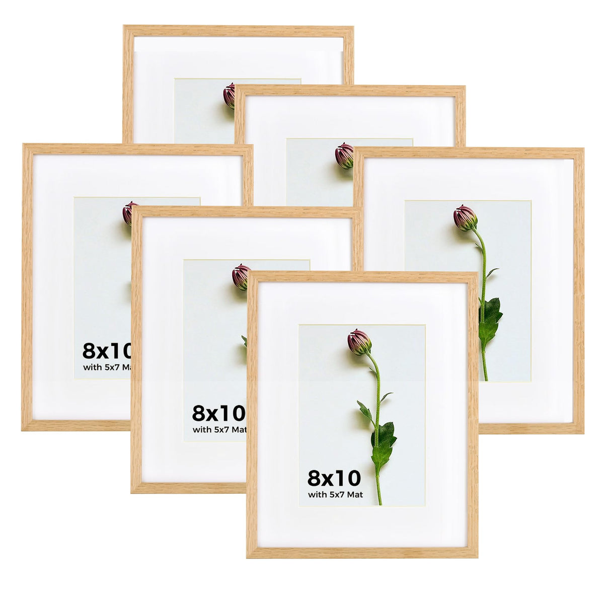 Atryinous 8x10 Picture Frame Set of 6 Solid Oak Wood Photo Frames with Plexiglass Display Picture 5x7 with mat or 8 x 10 without mat Tabletop or Wall Hanging Collage Gallery Wall Decor
