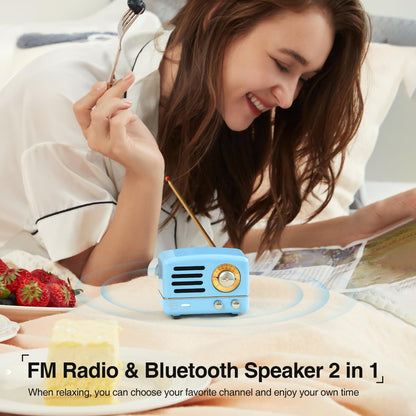 Muzen Portable Bluetooth Speaker, OTR Metal Retro Small Wireless Speaker, FM Radio with Antenna AUX, 10h+ Long Playtime, High Fidelity Stereo Audio with Suitcase, Room Office Decor, Festival Gift
