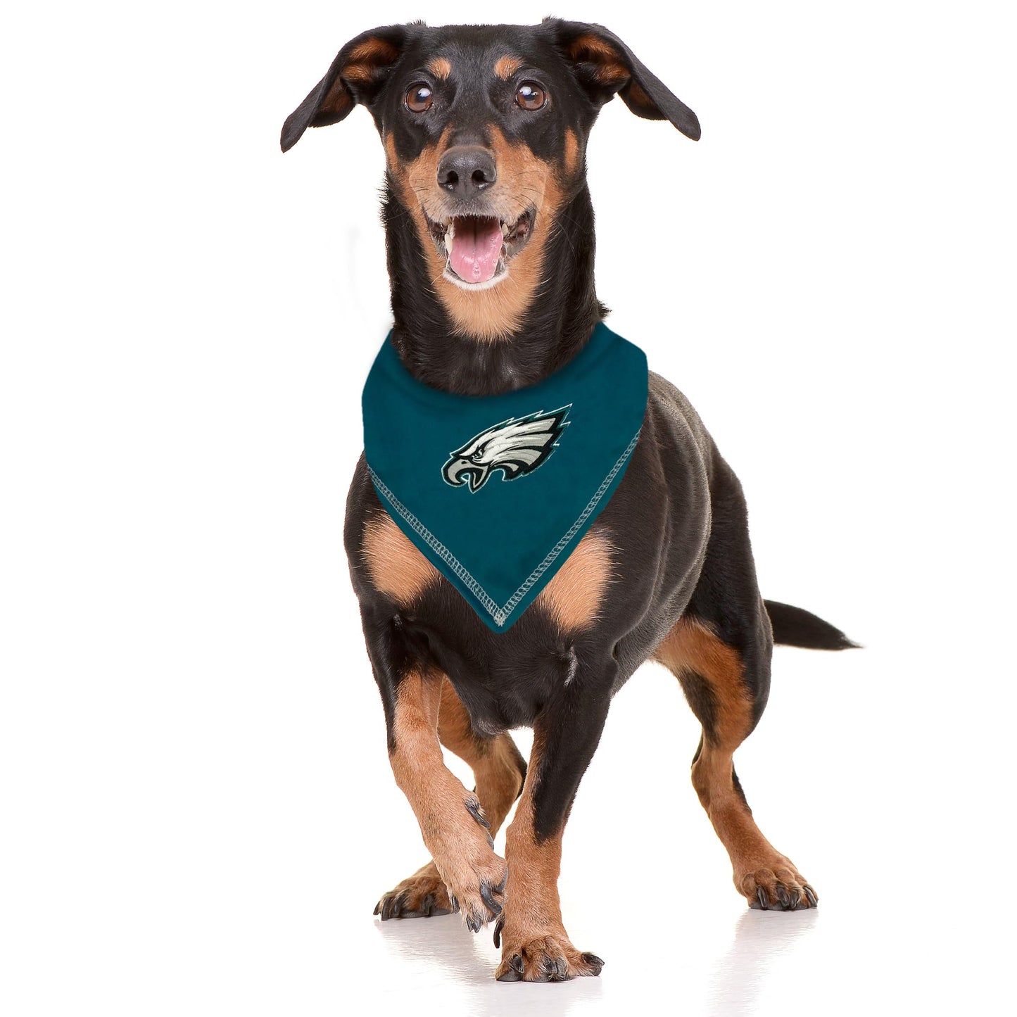 Pets First NFL Philadelphia Eagles TIE Bandana, Small/Medium. Dog Bandana Scarf Bib for Pet Cat Dog. The Ultimate Game-Day, Party Bandana (PHL-3550-S-M)