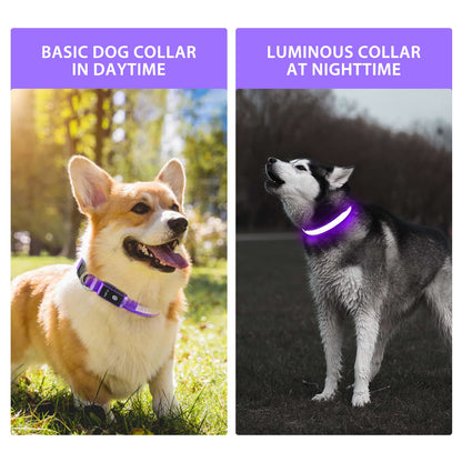 PCEoTllar Light Up Collar - Rechargeable Flashing LED Collar for Small, Medium & Large Dogs - Waterproof, 7 Colors Glowing, Purple (8 Mode)
