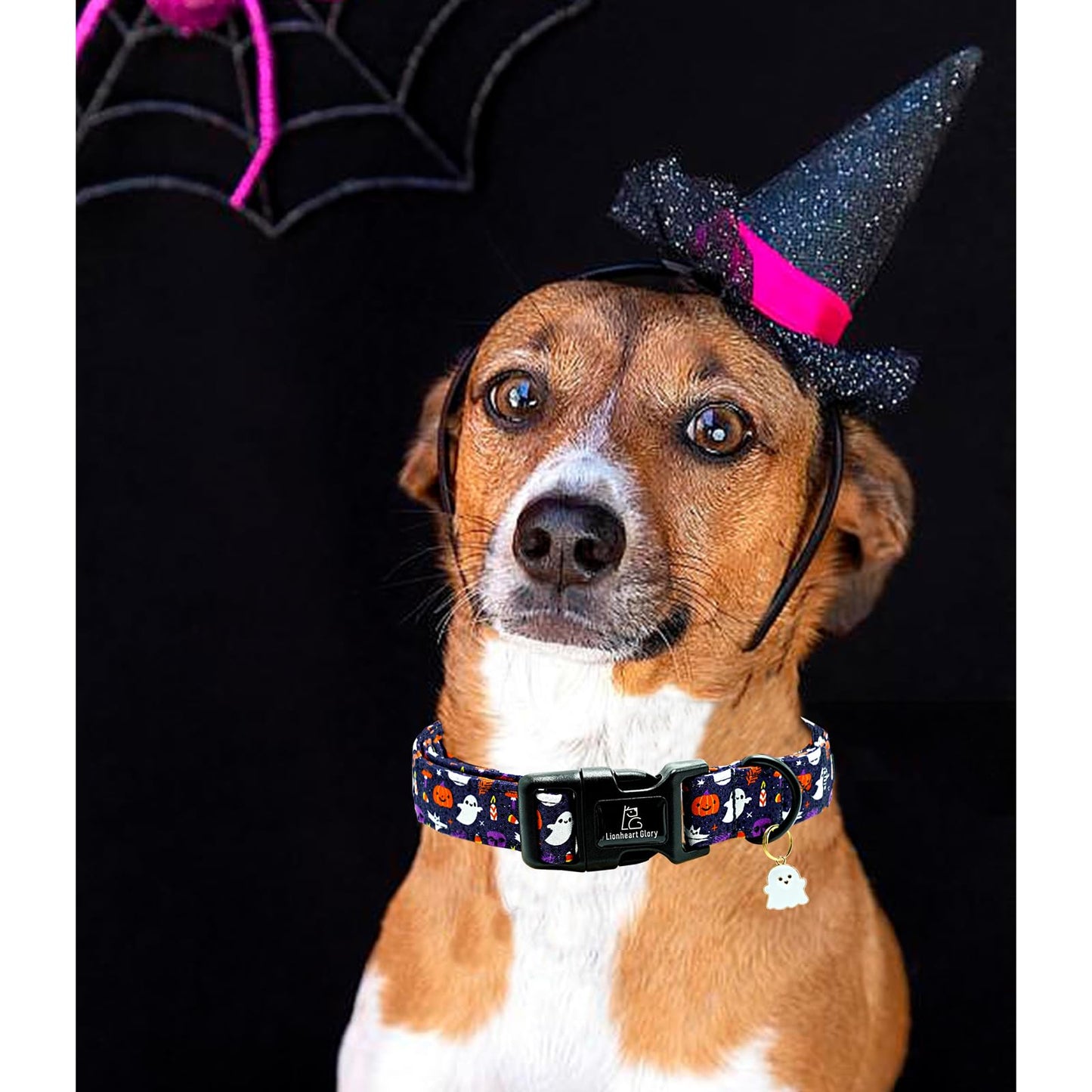 Lionheart glory Dog Collars Fall Halloween Pumpkin Collar Dog Heavy Comfortable Adjustable Dog Collar for Large Dogs, Ghost, Pumpkin