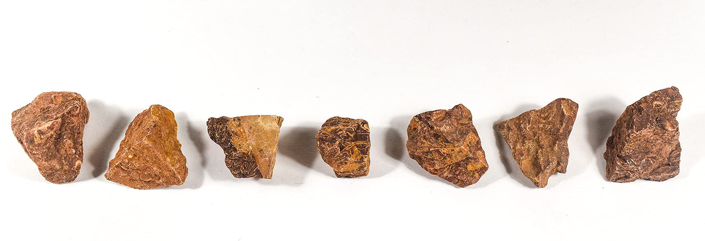HQRP 10PCS Elephant Skin/Mariam Jasper Rough Stones Natural Fossil Coquina Jasper Crystal Arabic Calligraphy Mineral Rocks - India