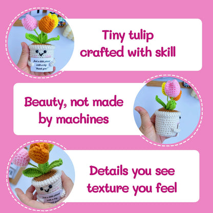 Sulieschen Positive Crochet Tulip Flowers – Handmade Thank You Gifts-Unique Office Decor,New Job Gifts,Positive Energy,Crochet Flowers Appreciation Gift for Women, Mom, Teacher, Friend, Office Décor