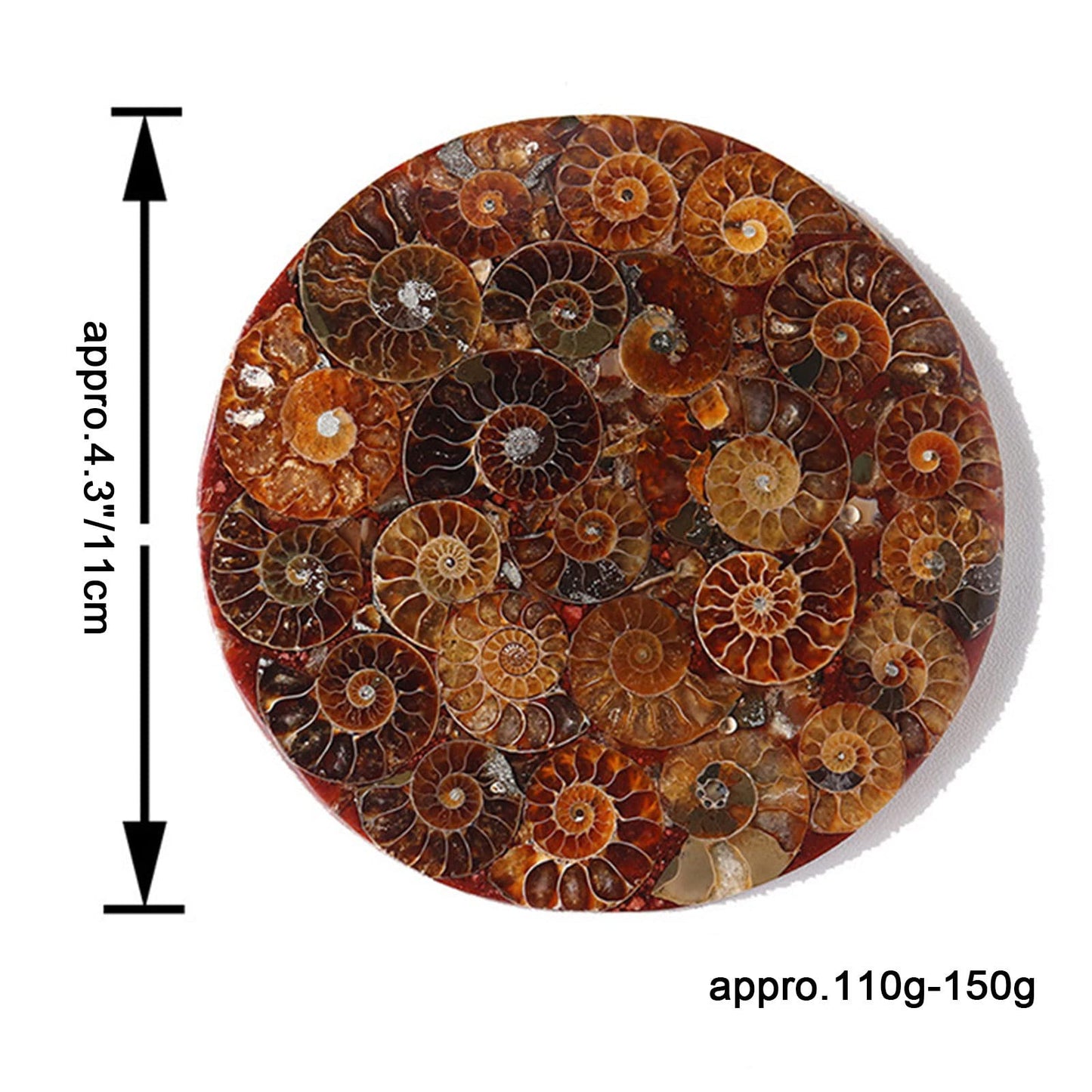 ZHDECOR Natural 11cm Natural Ammonite Shell Plate with Shelf, Mineral from Madagascar Circle Disk, Reiki Crystal Healing Stones Decorations