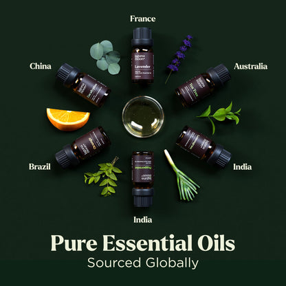 Lagunamoon Essential Oils Christmas Set - 6 Oils for Diffusers, Home Care, Candle Making Scents, Fragrance, Aromatherapy, Humidifiers, Gifts - Peppermint, Tea Tree, Lavender, Eucalyptus, Orange (10mL)