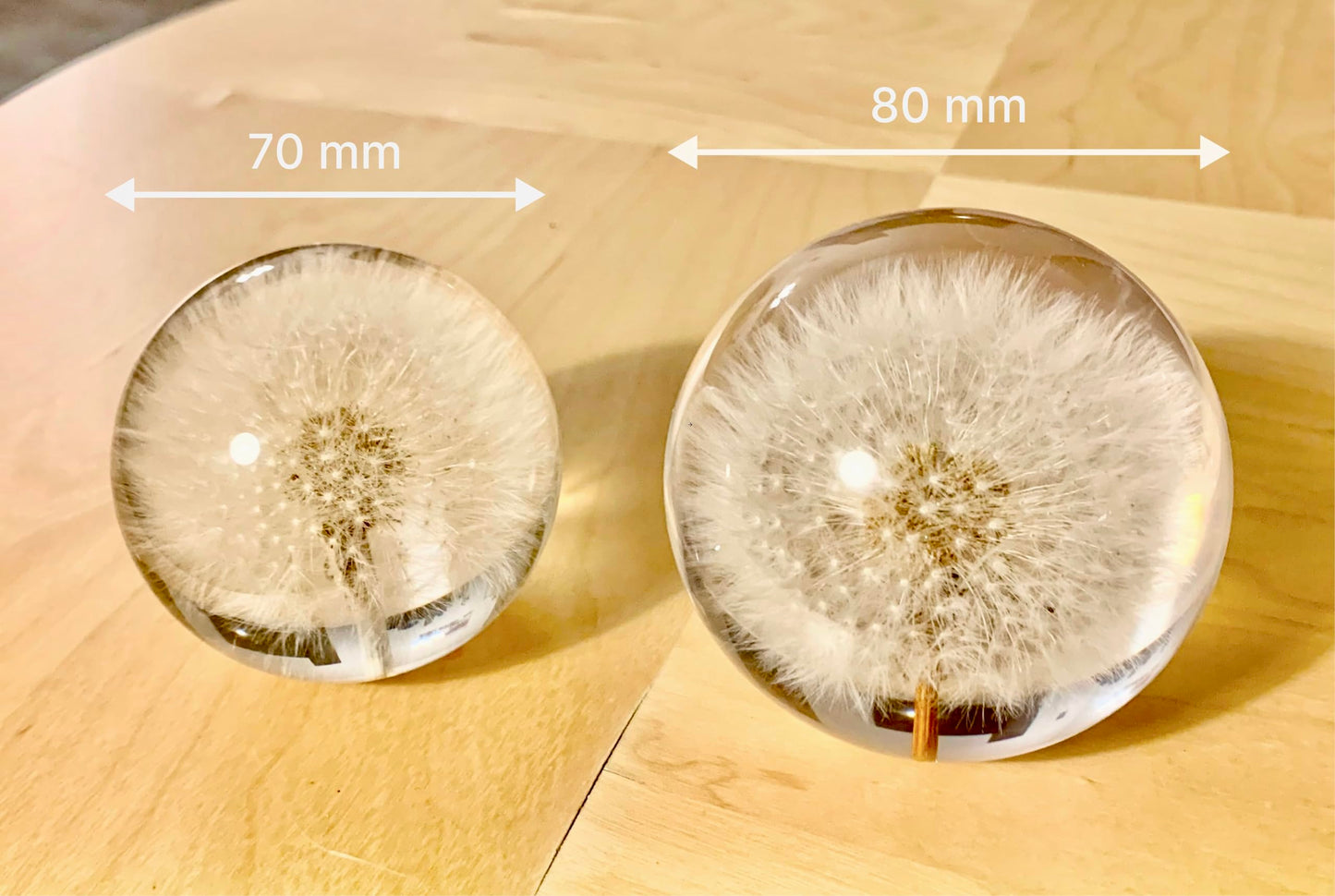 NouvoCrescent Real Dandelion Paperweight - Home Decor Crystal Resin Ball 3.14in (80mm) - Clear Resin Dandelion Flower Globe for Special Days - Sphere Figurine Office Paperweight w/Flat Bottom