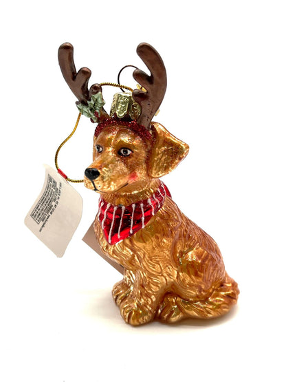 Noble Gems Golden Retriever with Antlers Glass Ornament