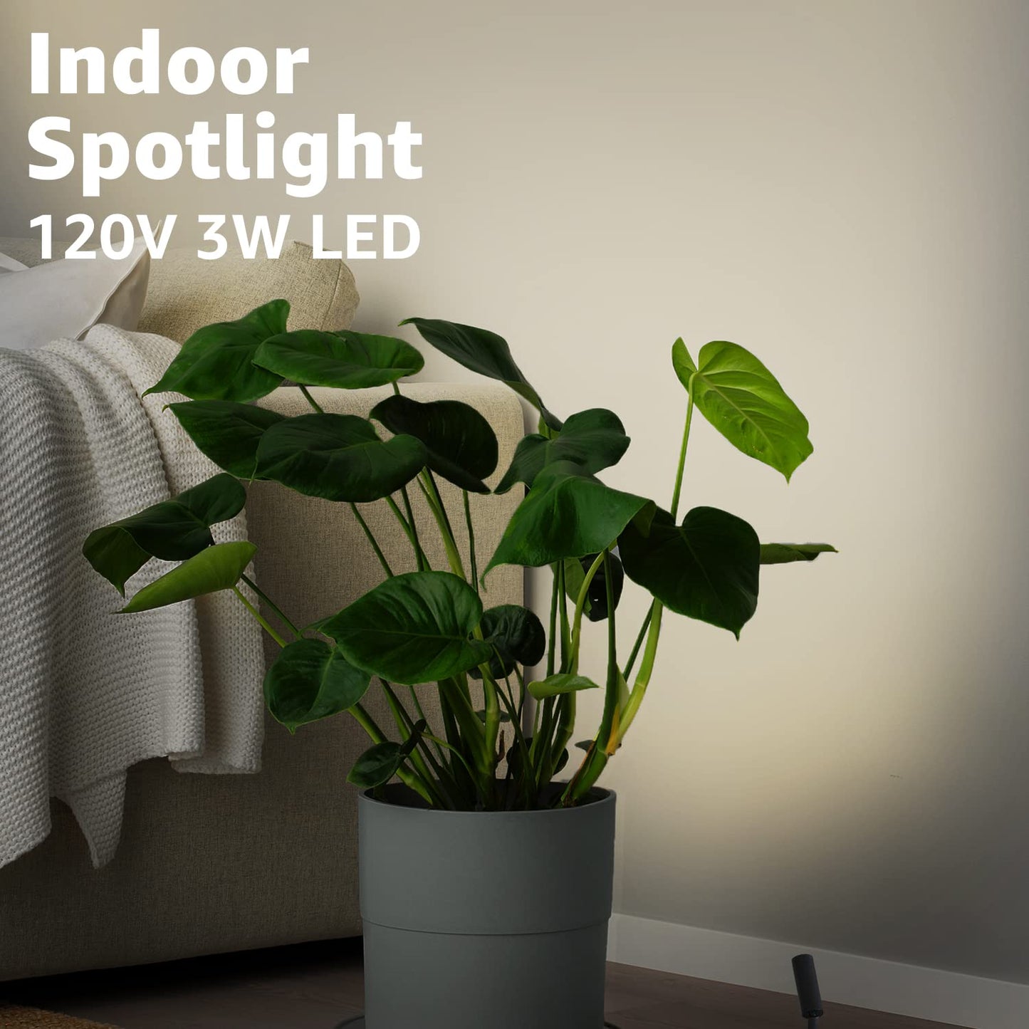 URTOM 2 Pack Indoor Spotlight LED Up Lights for Plant 120V Floor Spot Lights Accent Light Indoor Uplighting Warm White Spotlight Lamp Accent Lighting LED Uplight, 5.9 FT Plug Cord with Foot Switch