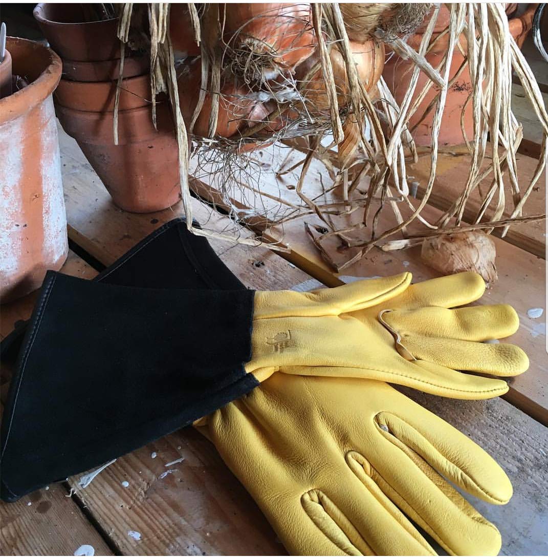 WAGNER design yourself Gold Leaf Tough Touch Gloves - Gents, 2 Count (Pack of 1), 25305000