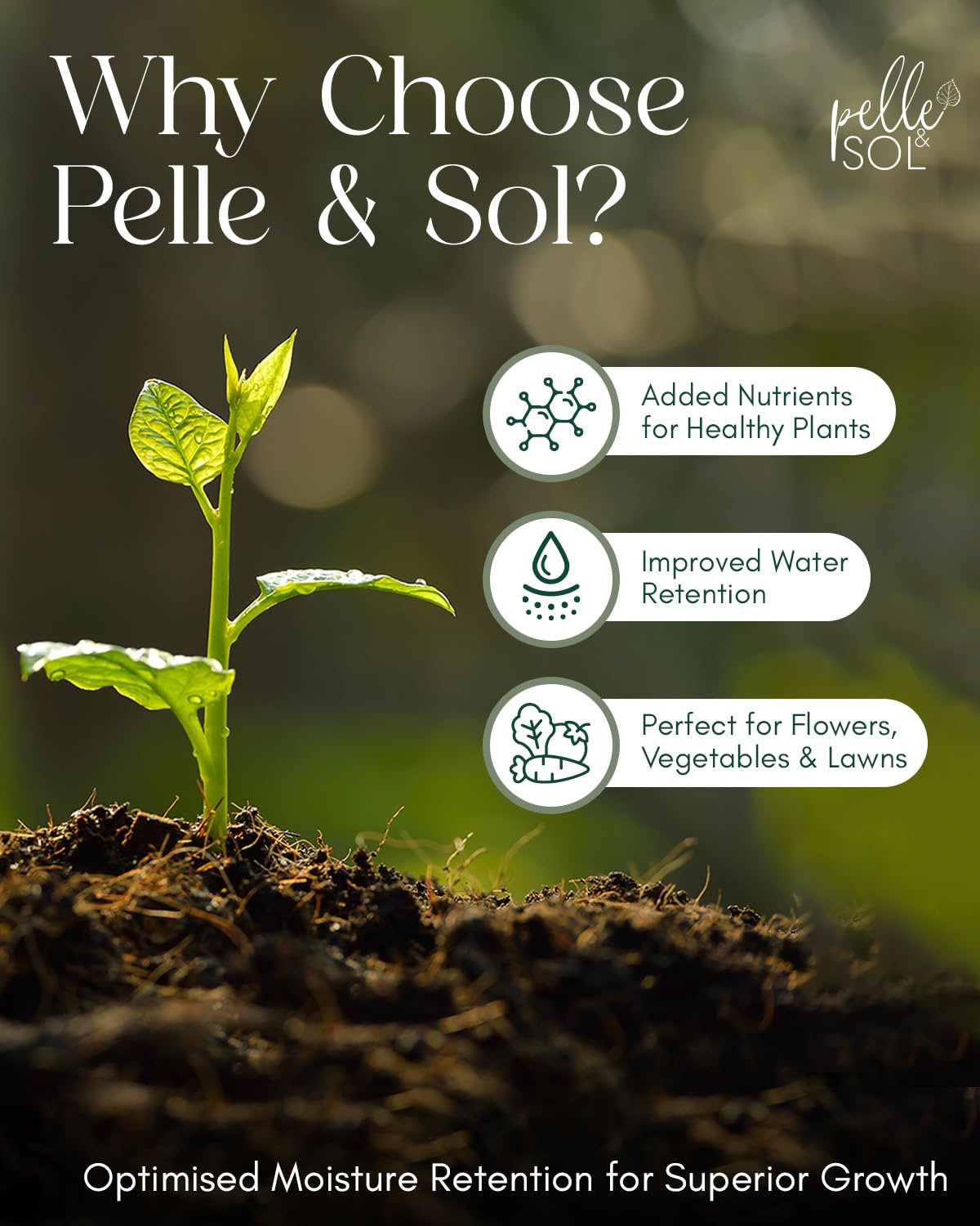 Pelle & Sol 60L Multi Purpose Compost - Compost for Outdoor Plants & Soil for Plants Indoors - Potting Soil for Pots Plants Outdoor - All Purpose Nutrient Rich Fertiliser, Houseplant Potting Mix
