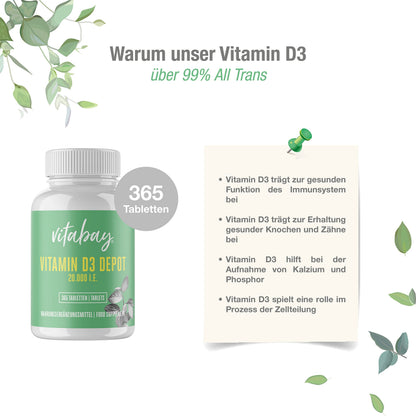 Vitabay Vitamin D3 20,000 IU - 365 high Dosage and time-Released Vitamin D Tablets - Vegan and Laboratory Tested