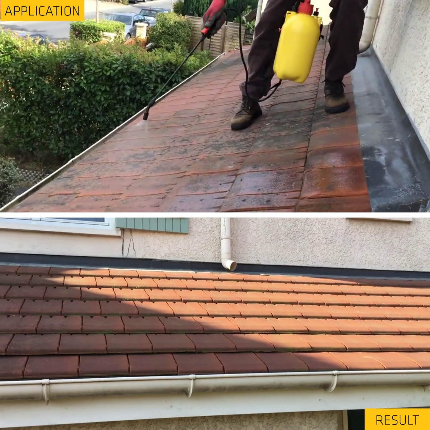 Sika Mould Buster 5Lt