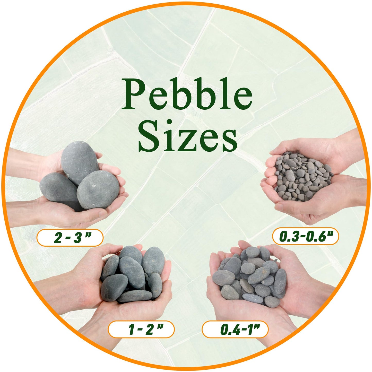 Quibbay 5 lbs Natural Mexican Beach Pebbles, 1-2 Inch Large River Rocks for Plants and Landscaping, Decorative Stone for Fish Tank Aquarium Fountain Garden Paving Walkways Pathways Backyard, Grey