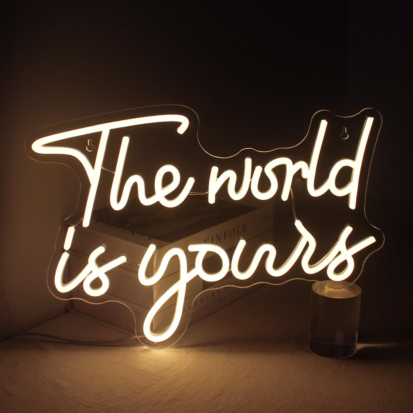 Lucunstar I'M Literally Just A Girl Neon Sign,Pink Led Sign,Led Neon Light for Wall Decor,Light Up Sign for Bedroom,Dimmable Switch USB Connectivity Neon Signs for Girlsroom Decor,Party Light