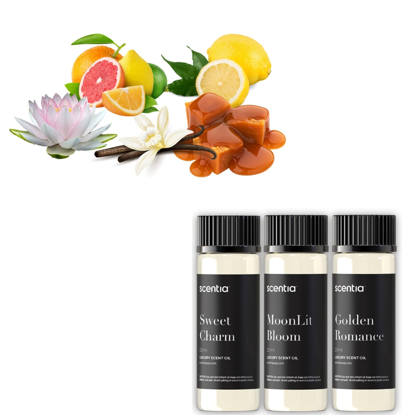 Love Collection Fragrance Oil Set – Essential Oil Blends for Diffusers, Candles & Soaps – Jasmine, Rose, Citrus, Amber & Musk – Made in USA, Phthalate-Free – Holiday Gift Set 3×20ml (2.03 fl oz)