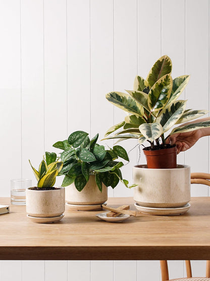 LE TAUCI Ceramic Plant Pots, 11+13+17 cm Planters, Set of 3 Planters with Drainage Hole and Saucer, Indoor Plant Pot with Hole Mesh Pad, Gifts for Mom, Reactive Glaze Beige