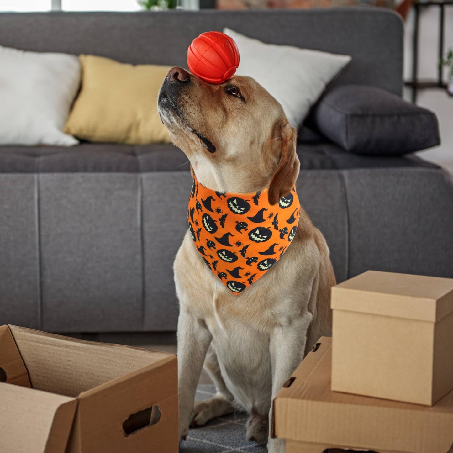 Gofshy Halloween Dog Bandana -1 Pack, Premium Durable Triangle Reversible Dog Scarf, Adjustable Puppy Bandana Bib Handkerchief for Girl or Boy Large&Medium