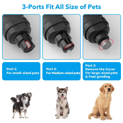 Casfuy Dog Nail Grinder with 2 LED Light - New Version 2-Speed Powerful Electric Pet Nail Trimmer Professional Quiet Painless Paws Grooming & Smoothing for Small Medium Large Dogs and Cats