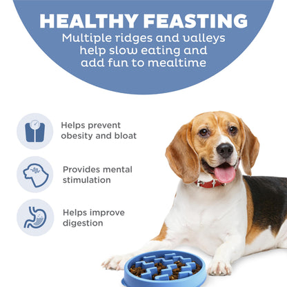 Outward Hound Slow Feeder Dog Bowl - Makes Meal Time Fun, Slows Down Eating, Promotes Healthy Digestion, Prevents Bloat | Slip Resistant and Durable, Food & Water Bowl, Size Medium (Blue)